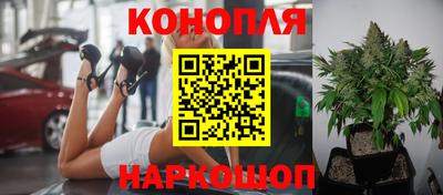 стаф Бузулук