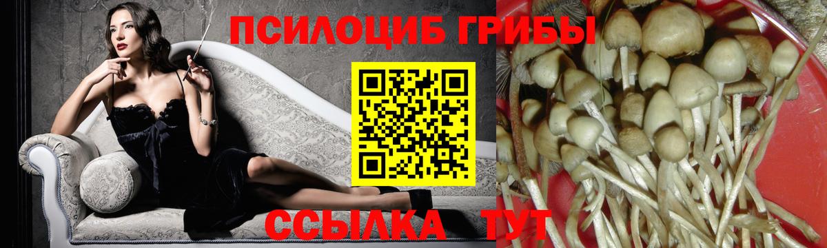 Галлюциногенные грибы ЛСД  Вход с VPN  Псков 